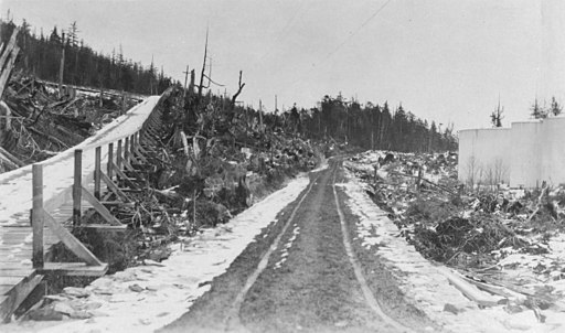 ImagenCarreteraTablones_01_Dirt_road_and_plank_road_near_Ketchikan,_Alaska,_1916